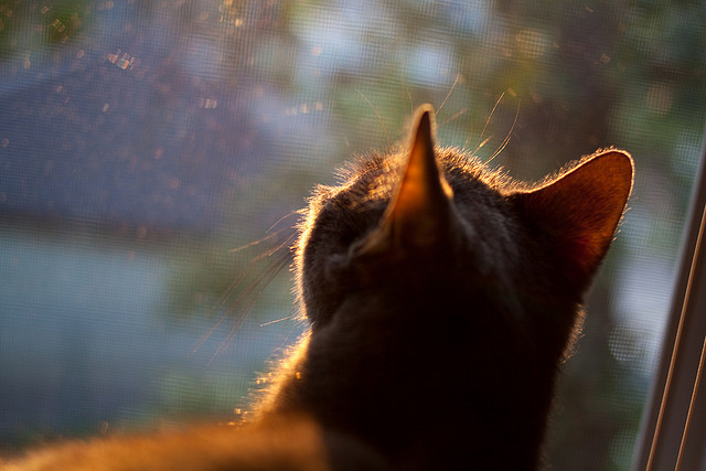 巴萨是否能依靠年轻球员重建辉煌,巴萨谁最有可能