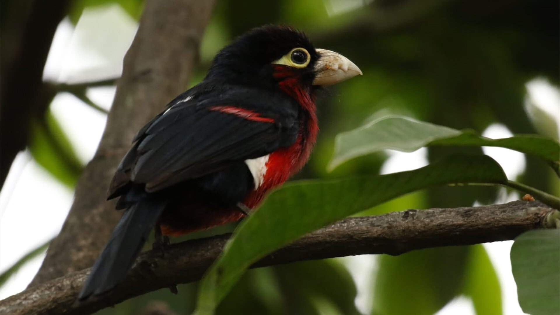 爱游戏综合娱乐-激动人心的足球巅峰赛事拉开帷幕，球员全力拼搏，足球巅峰阵容