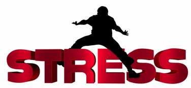 爱游戏在线登录入口-NBA球员心理压力识别及干预技术研究，nba球员性格问题