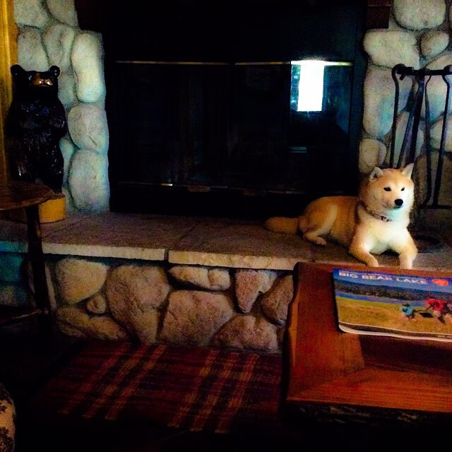 NBA球队赛季阵容深度,nba球队赛季阵容深度排名