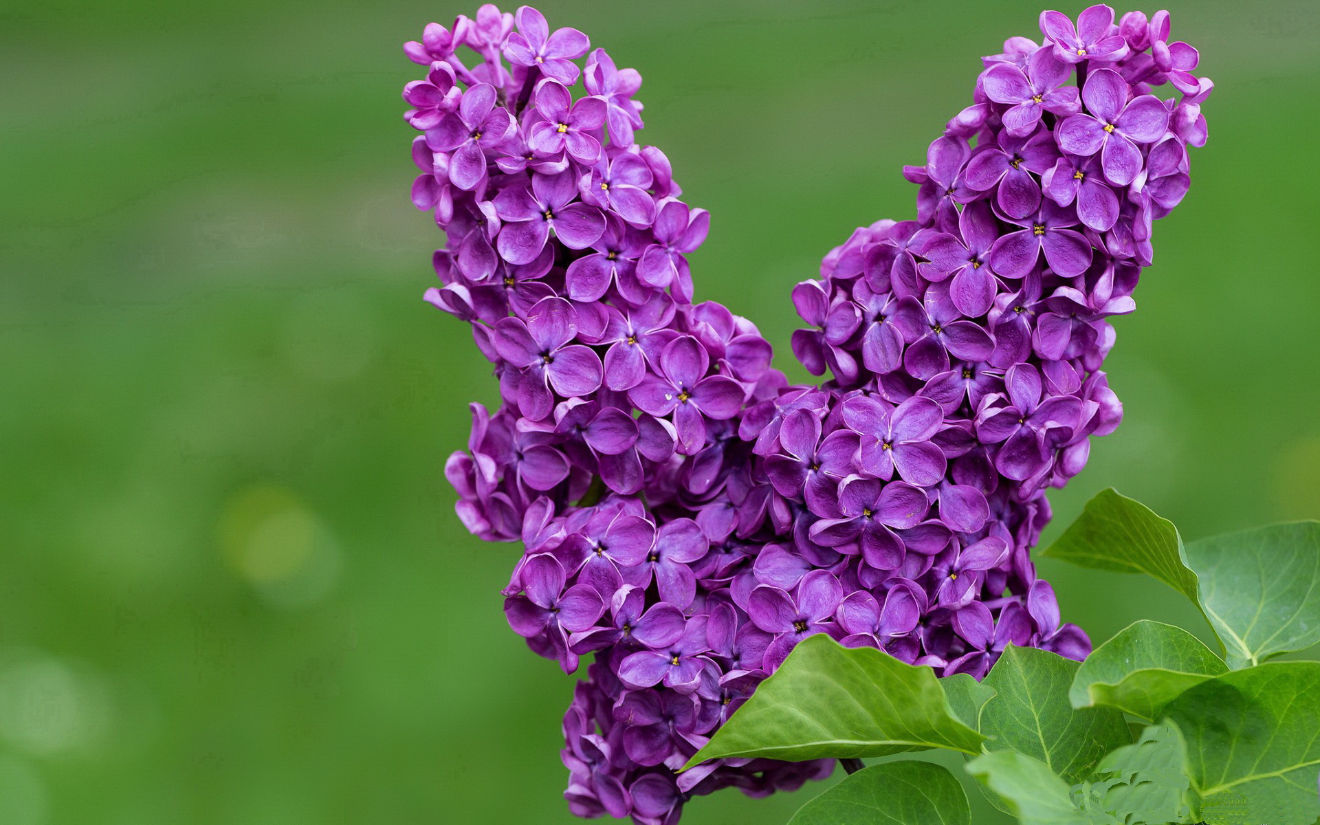 中国青少年篮球运动员身体机能发展规律及训练指导,青少年篮球运动员体能素质训练的原则