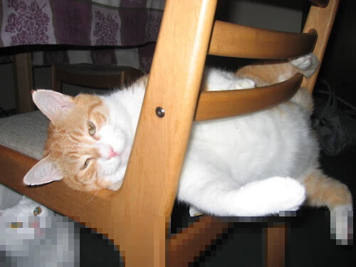 中国男篮提升外线空位出手的稳定性,中国男篮提升外线空位出手的稳定性