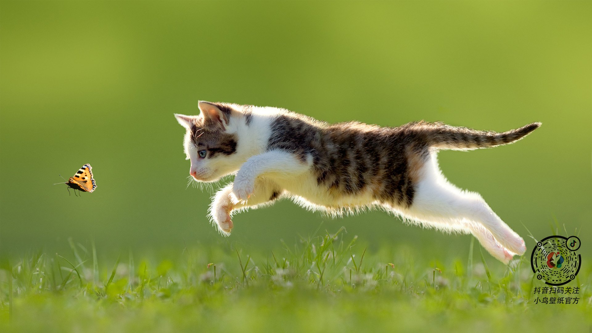 爱游戏娱乐平台-五大联赛豪门对弱旅的心态与战术应对分析，五大联赛豪门球队有哪些