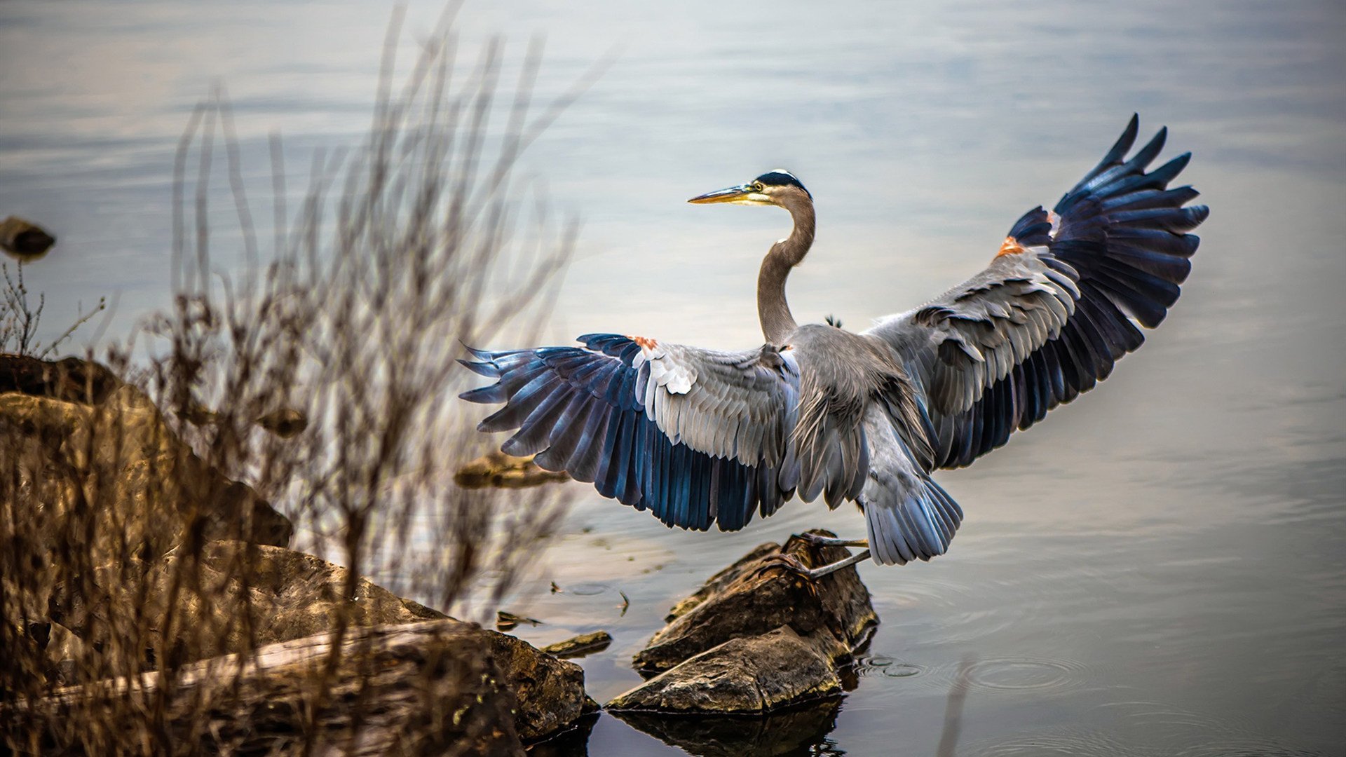 体育新闻中心联合高校开展体育新闻传播创新,体育学院新闻稿