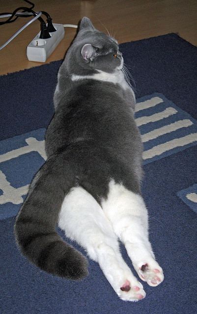 爱游戏娱乐-奥预赛U23国足逆转 热血时刻令人难忘，u23国奥名单