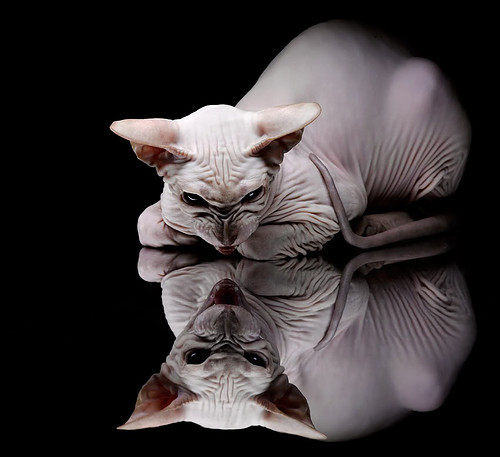 节奏压制是否是外线防守成功的关键因素,节奏控制