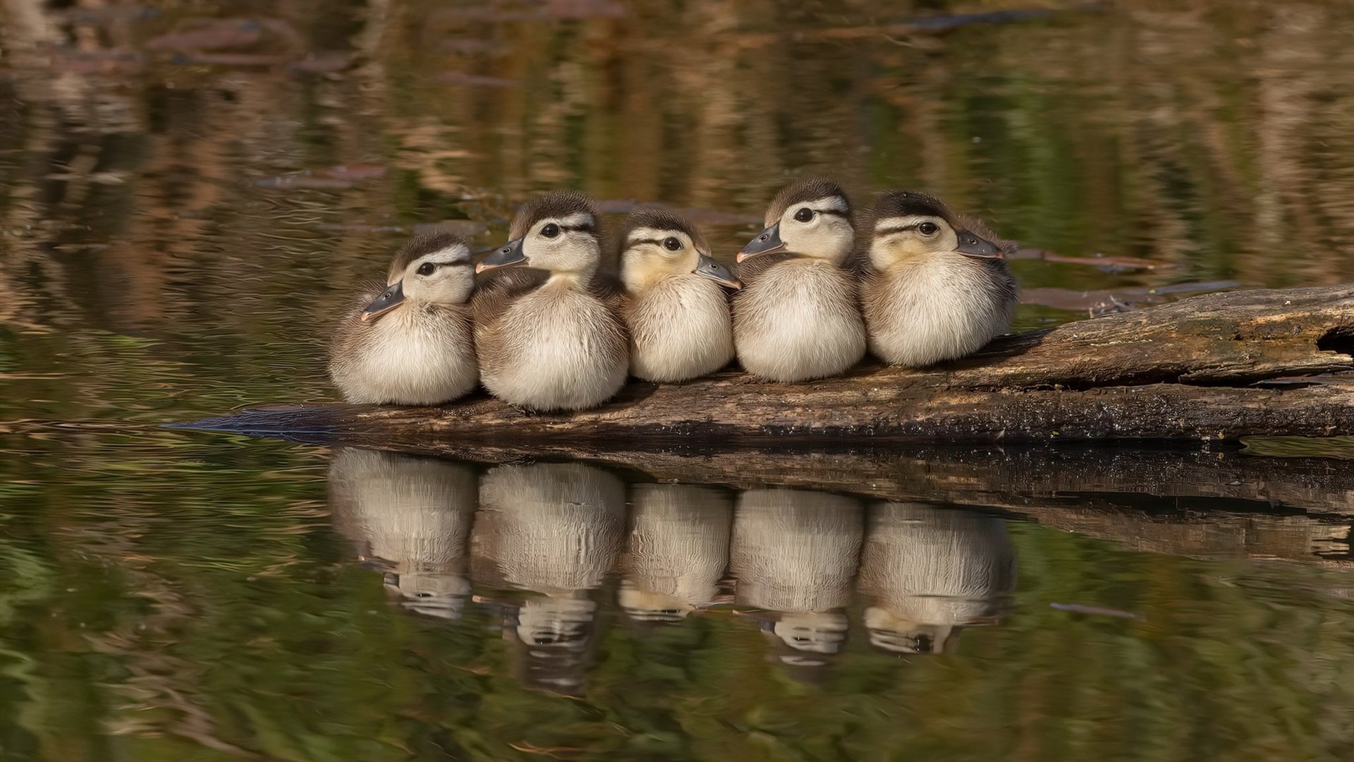 爱游戏娱乐-足球训练课强调节奏与协作并重，足球训练课强调节奏与协作并重的原因