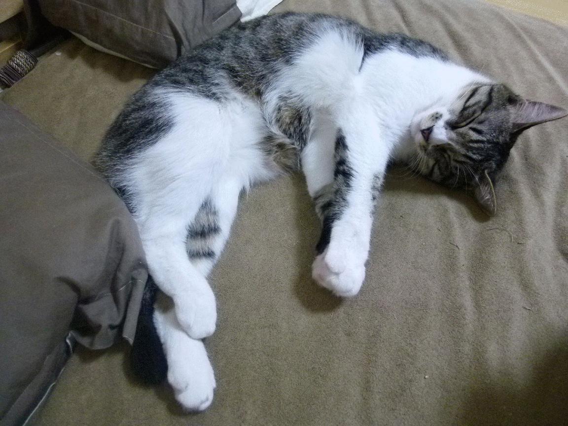 爱游戏娱乐平台-青训人才流动机制打通发展通道，青训选拔机制