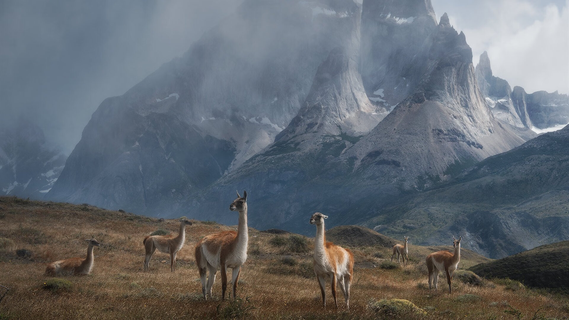 中国足球职业联赛裁判技术辅助系统升级完善,中国足球裁判考试