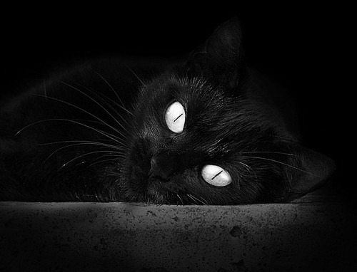 爱游戏娱乐网址-五大联赛助攻王榜单更新，新星崭露头角，五大联赛总助攻榜