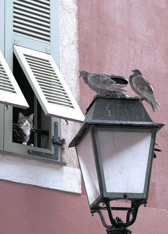 尼克斯提升场上沟通避免无谓失误,和尼克斯交谈