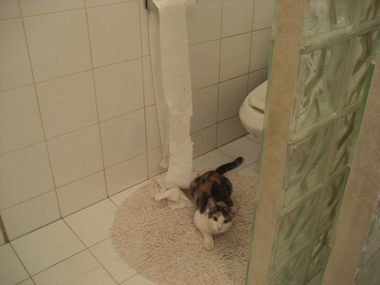 皇马青训新星崭露头角,球队未来可期