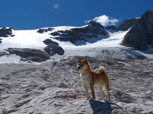爱游戏综合娱乐-美洲杯超级对决：明星点燃激情，竞技水平一流，美洲杯决赛剪辑