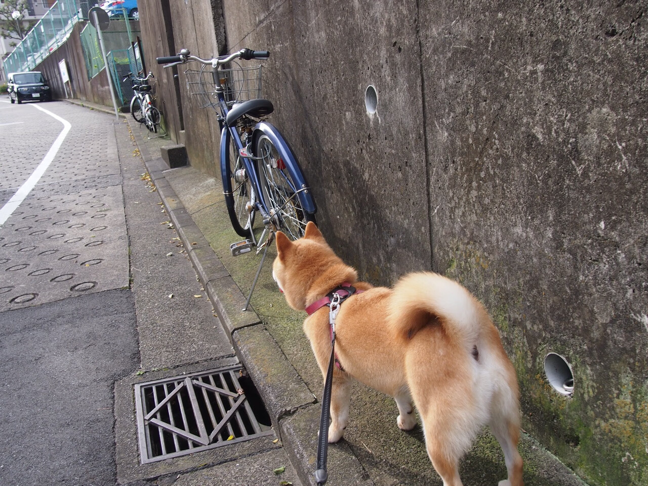 转身时间缩短,提升分段节奏,转身动作要领