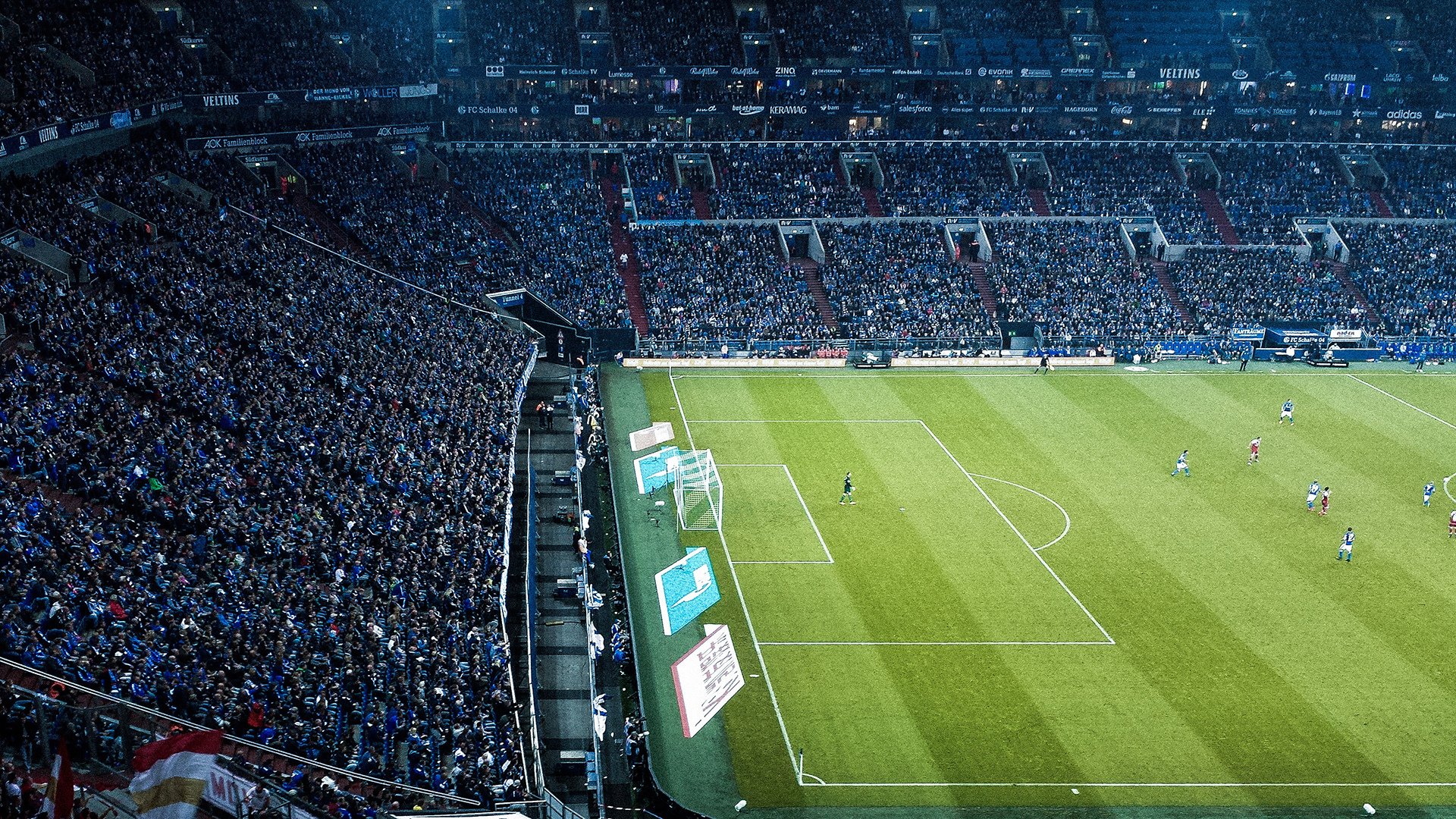 德国马术协会建立马术运动伤害预防中心,保障运动员安全。,马术德国队